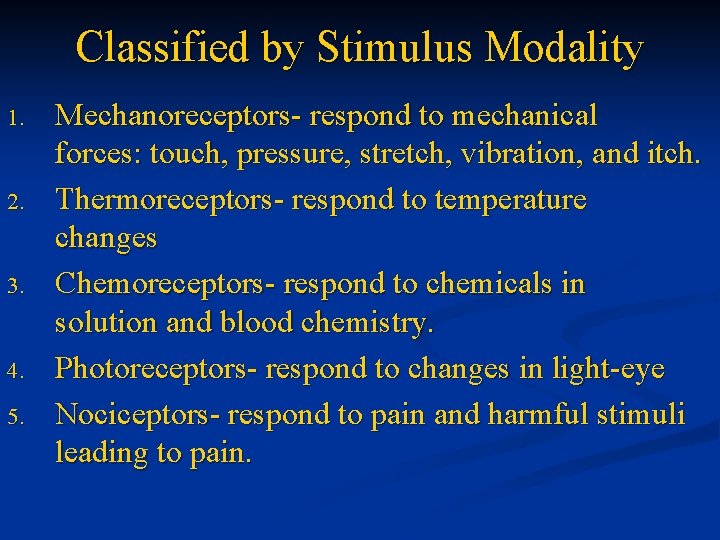 Classified by Stimulus Modality 1. 2. 3. 4. 5. Mechanoreceptors- respond to mechanical forces: