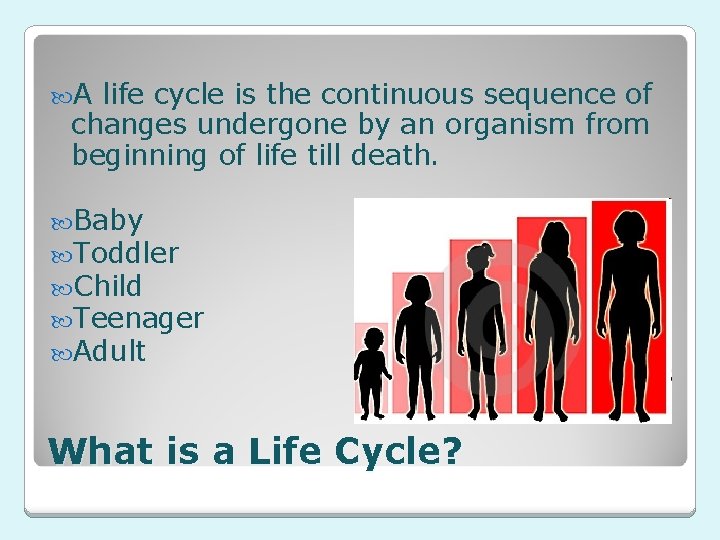  A life cycle is the continuous sequence of changes undergone by an organism