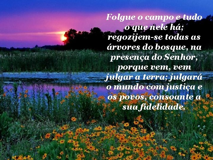 Folgue o campo e tudo o que nele há; regozijem-se todas as árvores do