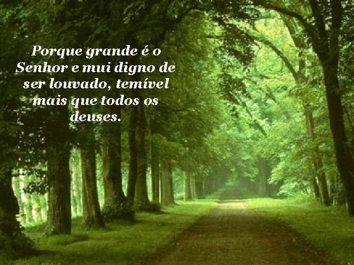 Porque grande é o Senhor e mui digno de ser louvado, temível mais que