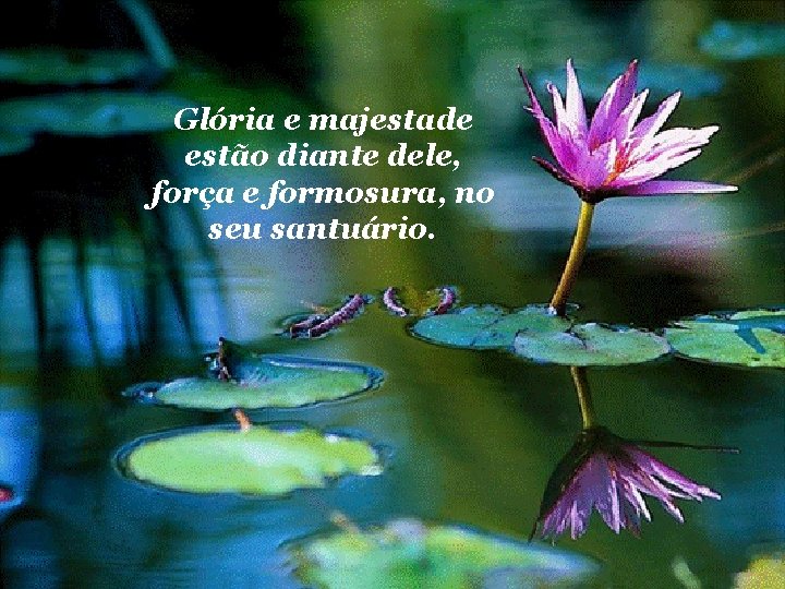 Glória e majestade estão diante dele, força e formosura, no seu santuário. 