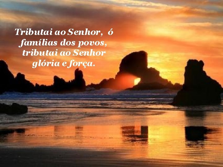 Tributai ao Senhor, ó famílias dos povos, tributai ao Senhor glória e força. 