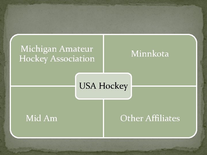 Michigan Amateur Hockey Association Minnkota USA Hockey Mid Am Other Affiliates 