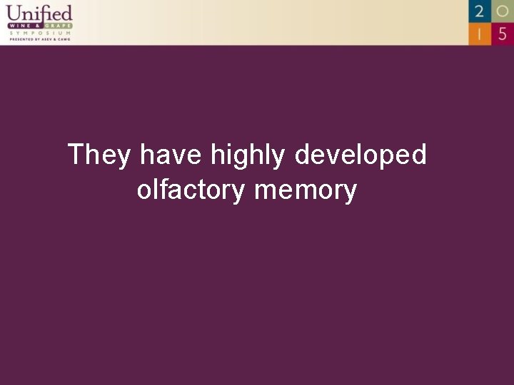 They have highly developed olfactory memory 