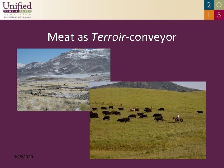 Meat as Terroir-conveyor 9/25/2020 