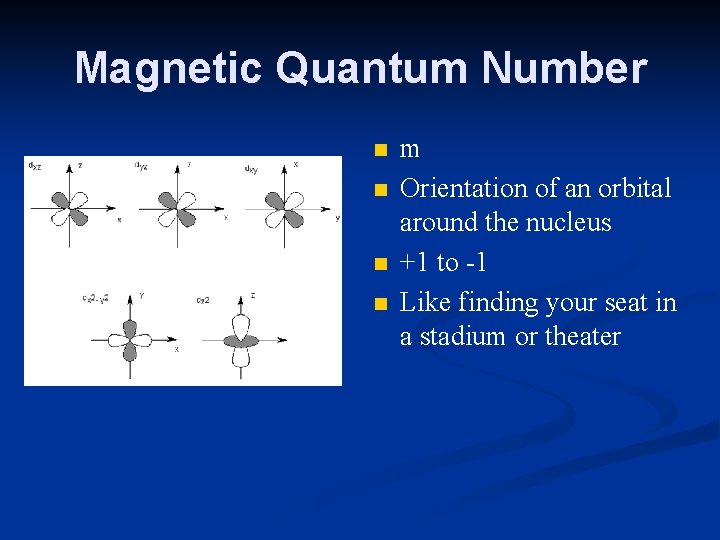 Magnetic Quantum Number n n m Orientation of an orbital around the nucleus +1