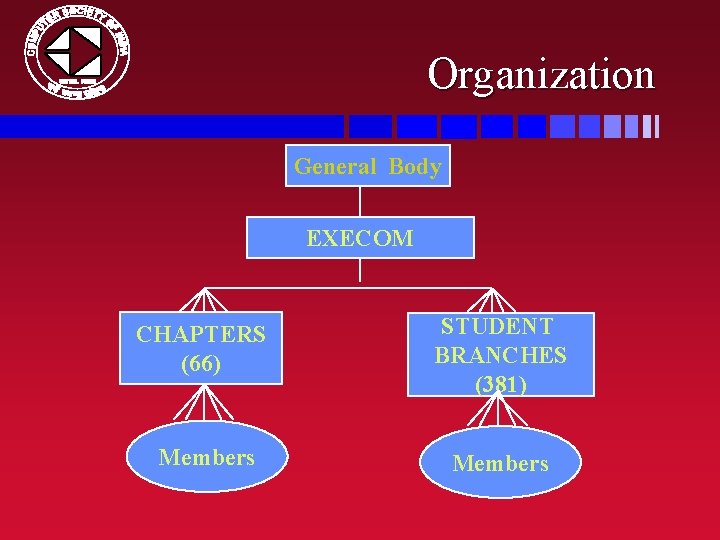 Organization General Body EXECOM CHAPTERS (66) STUDENT BRANCHES (381) Members 