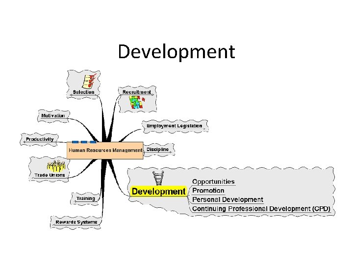 Development 