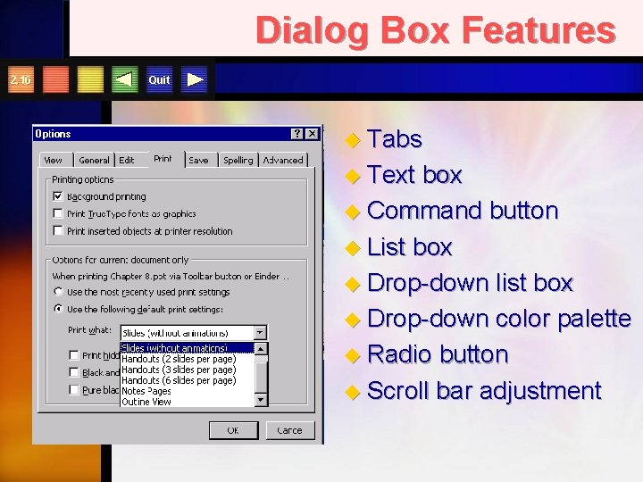 Dialog Box Features 2. 16 Quit u Tabs u Text box u Command button