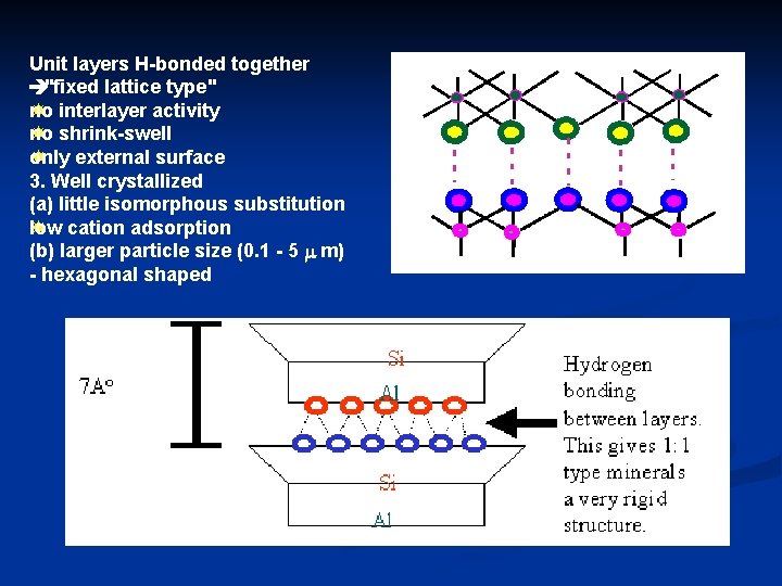 Unit layers H-bonded together è "fixed lattice type" no interlayer activity no shrink-swell only