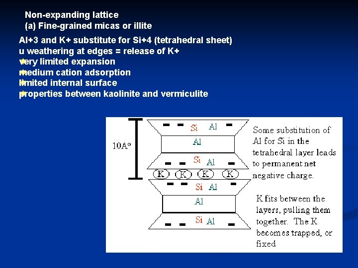 Non-expanding lattice (a) Fine-grained micas or illite Al+3 and K+ substitute for Si+4 (tetrahedral Non-expanding lattice (a) Fine-grained micas or illite Al+3 and K+ substitute for Si+4 (tetrahedral