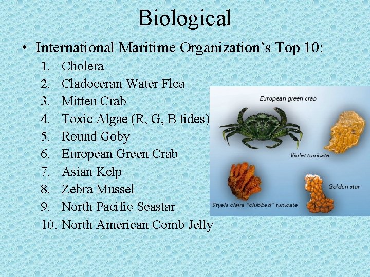 Biological • International Maritime Organization’s Top 10: 1. Cholera 2. Cladoceran Water Flea 3.