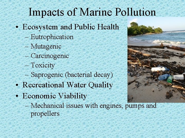 Impacts of Marine Pollution • Ecosystem and Public Health – Eutrophication – Mutagenic –