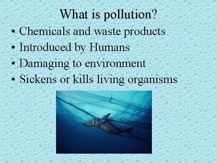 What is pollution? • • Chemicals and waste products Introduced by Humans Damaging to