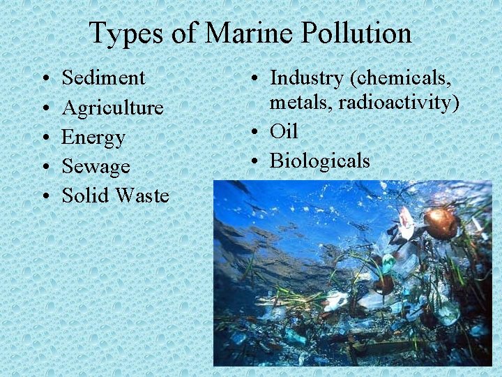 Types of Marine Pollution • • • Sediment Agriculture Energy Sewage Solid Waste •