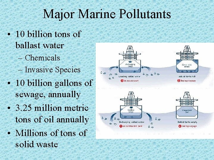 Major Marine Pollutants • 10 billion tons of ballast water – Chemicals – Invasive
