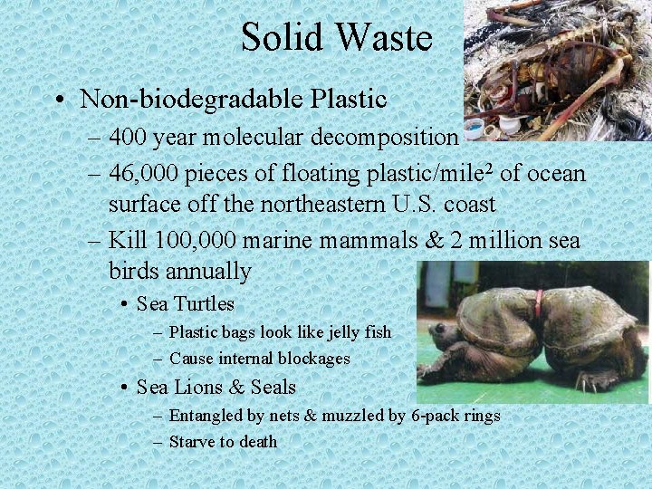 Solid Waste • Non-biodegradable Plastic – 400 year molecular decomposition – 46, 000 pieces