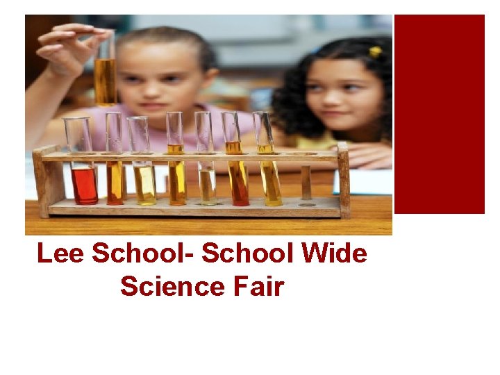 Lee School- School Wide Science Fair 
