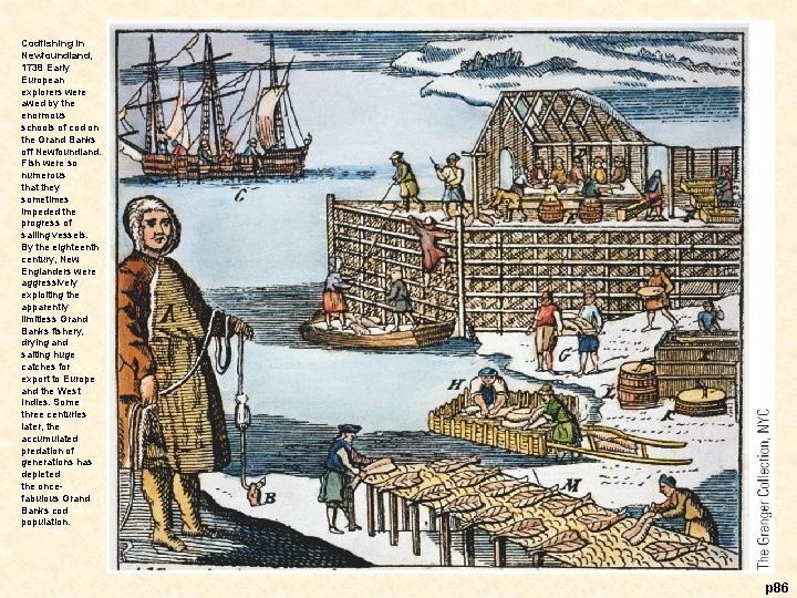 Codfishing in Newfoundland, 1738 Early European explorers were awed by the enormous schools of