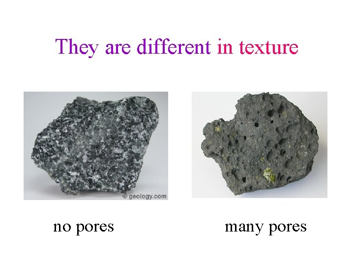 They are different in texture no pores many pores 