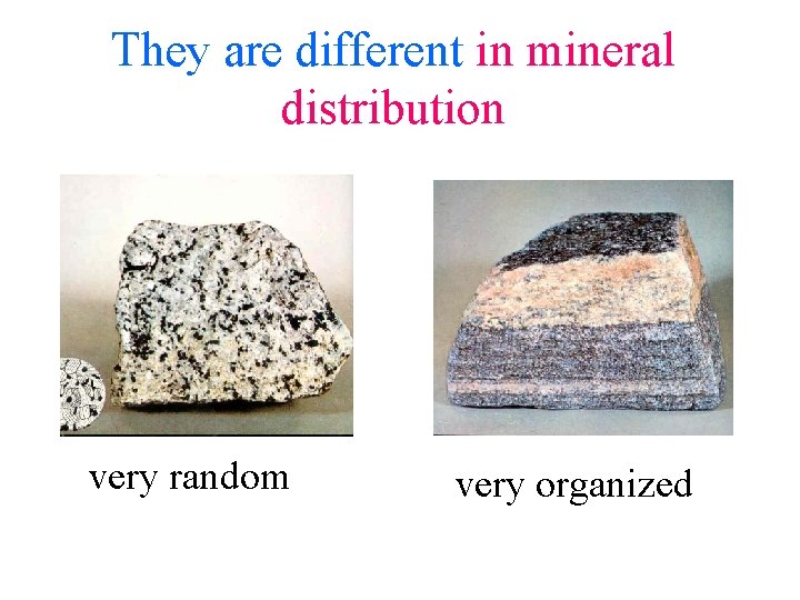 They are different in mineral distribution very random very organized 
