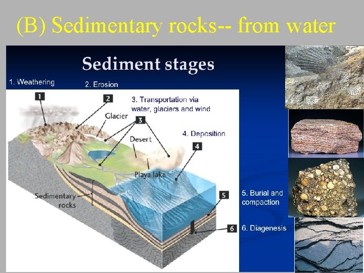 (B) Sedimentary rocks-- from water 