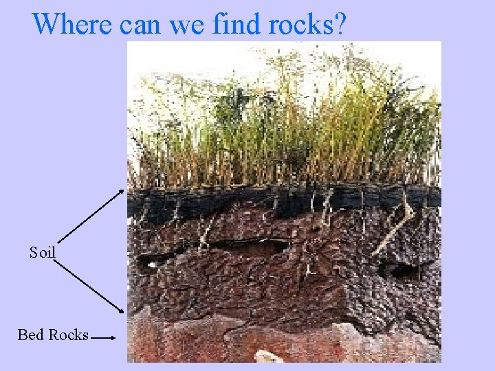 Where can we find rocks? Soil Bed Rocks 