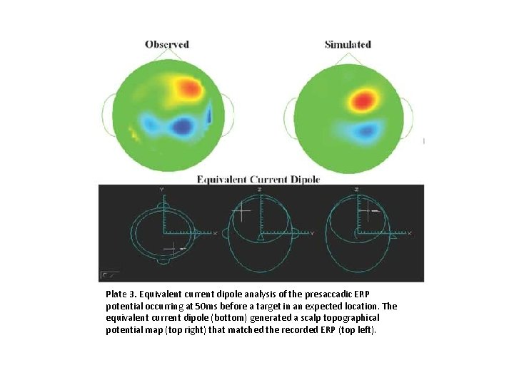 Plate 3. Equivalent current dipole analysis of the presaccadic ERP potential occurring at 50