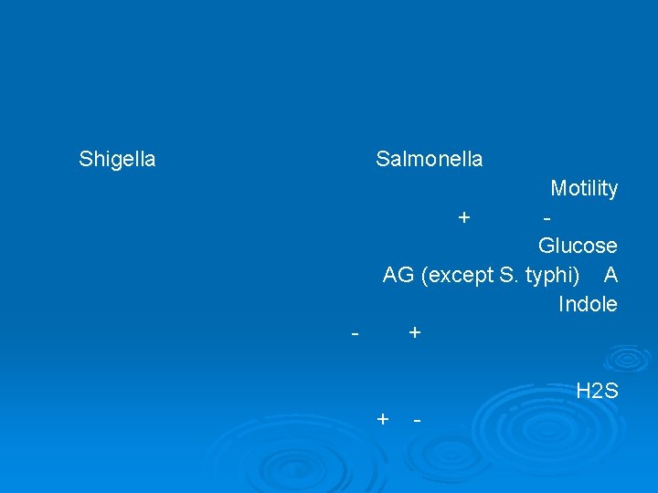 Shigella Salmonella - Motility + Glucose AG (except S. typhi) A Indole + H