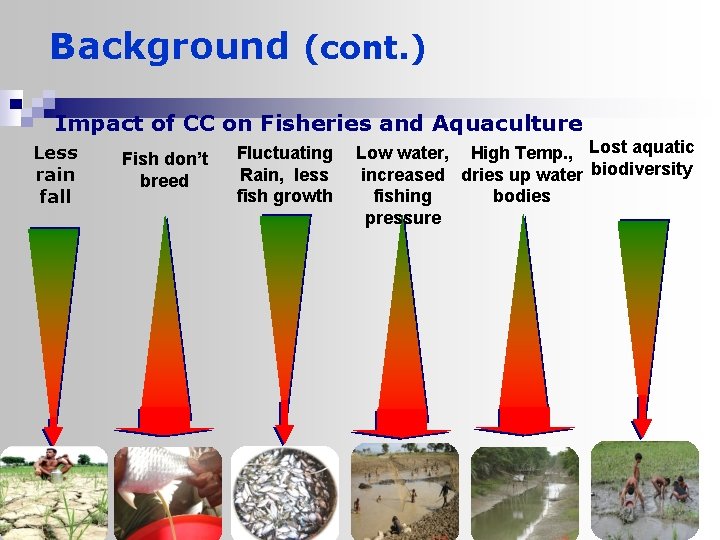Impact of Climate Change on Inland Fisheries and