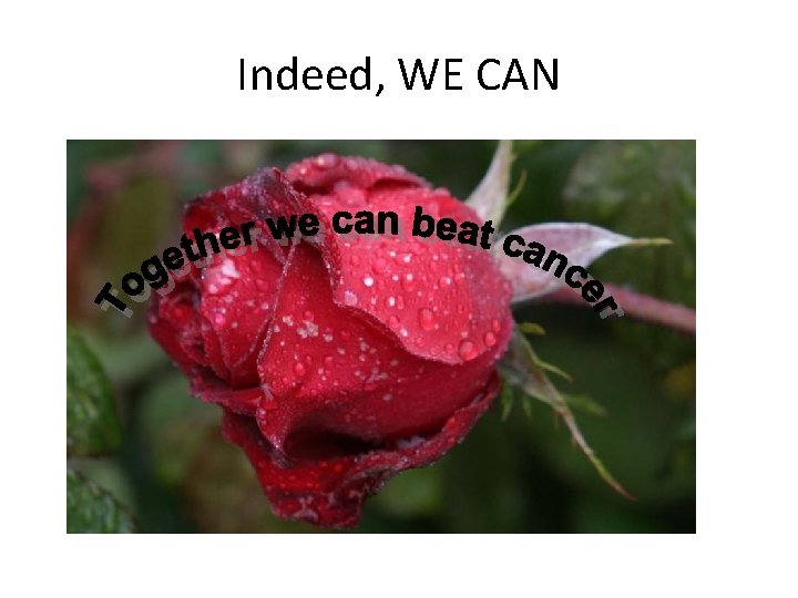 Indeed, WE CAN 