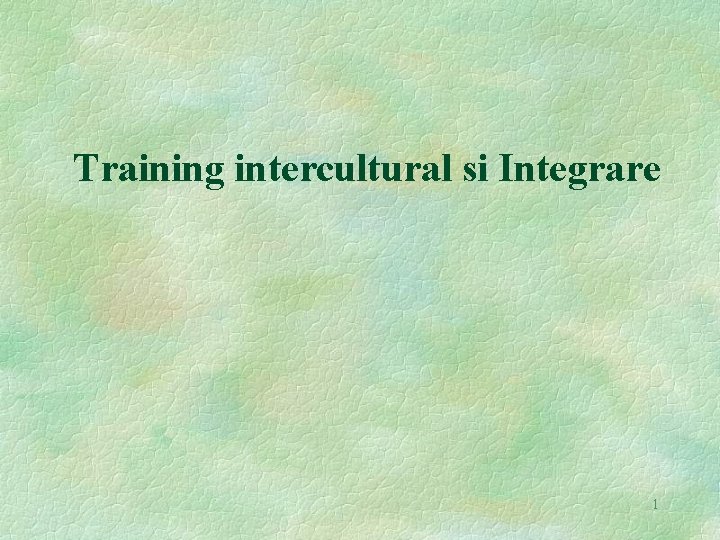 Training intercultural si Integrare 1 