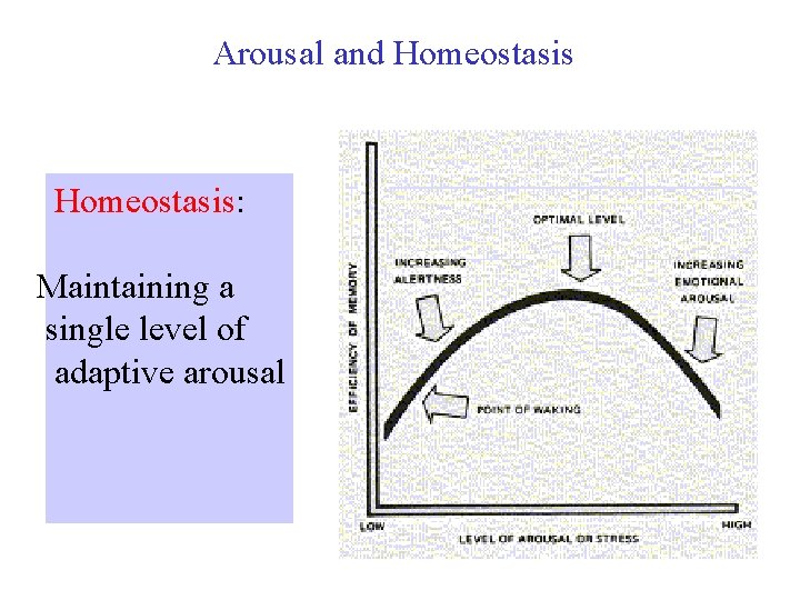 Arousal and Homeostasis: Maintaining a single level of adaptive arousal 