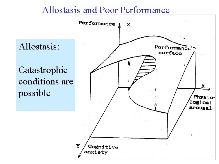 Allostasis and Poor Performance Allostasis: Catastrophic conditions are possible 