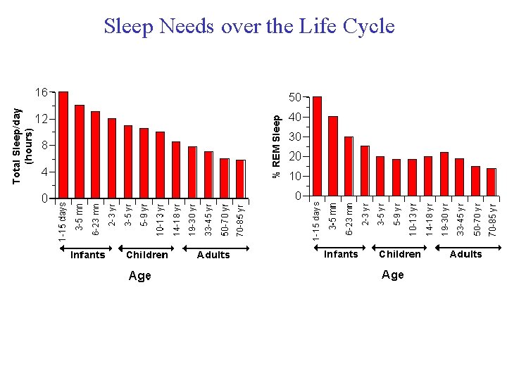 Sleep Needs over the Life Cycle 