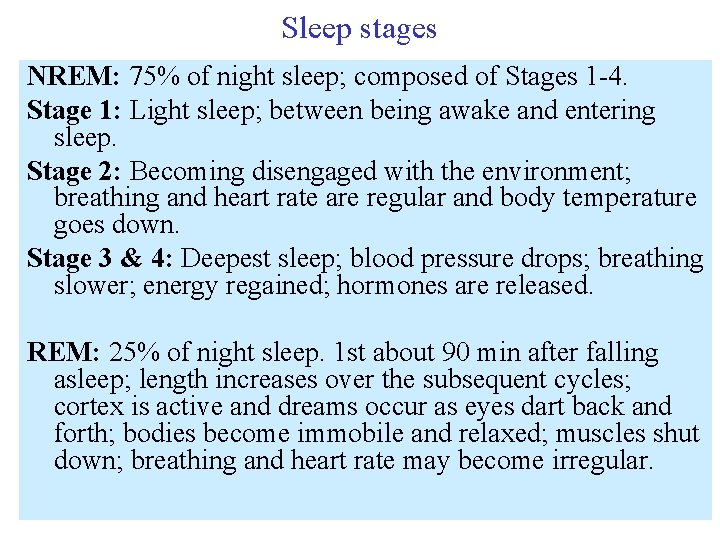 Sleep stages NREM: 75% of night sleep; composed of Stages 1 -4. Stage 1: