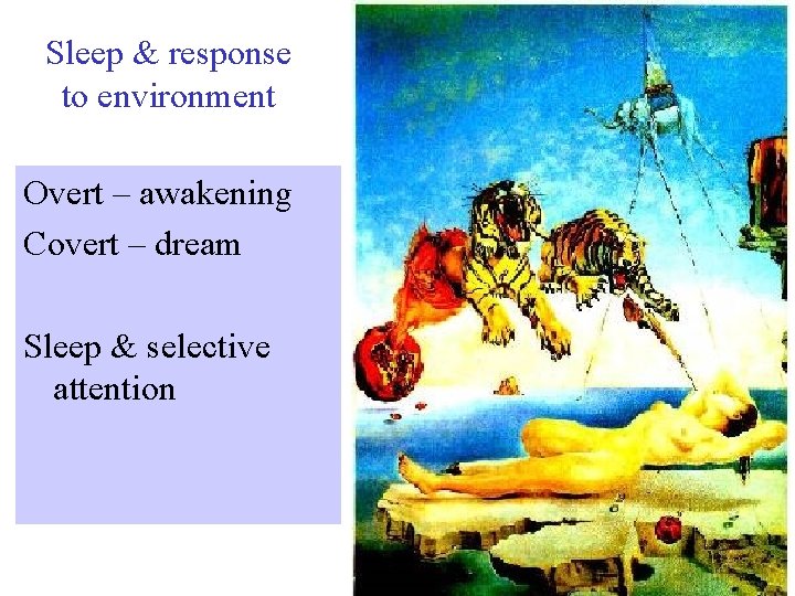 Sleep & response to environment Overt – awakening Covert – dream Sleep & selective