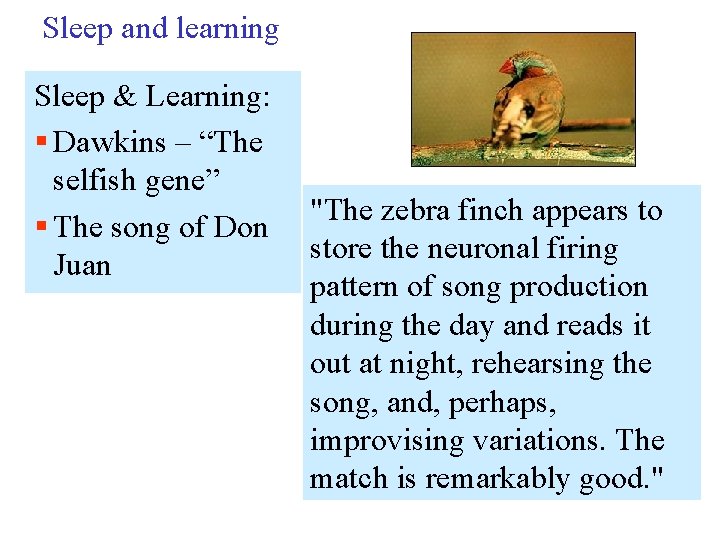 Sleep and learning Sleep & Learning: § Dawkins – “The selfish gene” § The