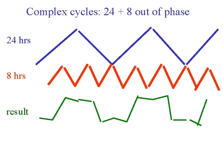 Complex cycles: 24 + 8 out of phase 24 hrs 8 hrs result 