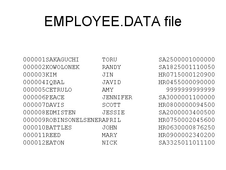 EMPLOYEE. DATA file 000001 SAKAGUCHI TORU 000002 KOWOLONEK RANDY 000003 KIM JIN 000004 IQBAL