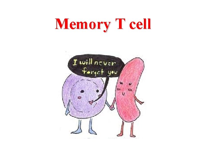 Memory T cell 