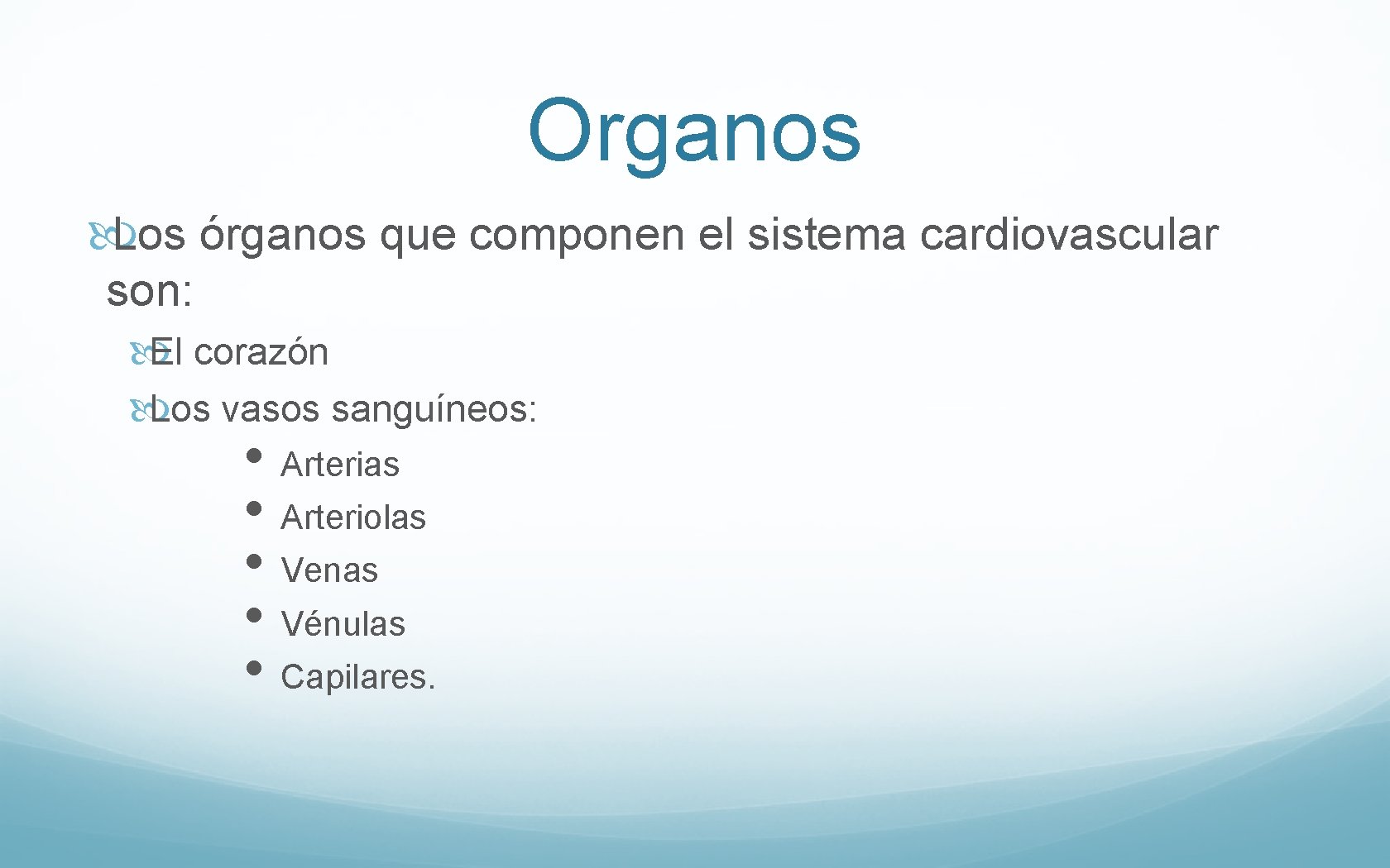 Organos Los órganos que componen el sistema cardiovascular son: El corazón Los vasos sanguíneos: