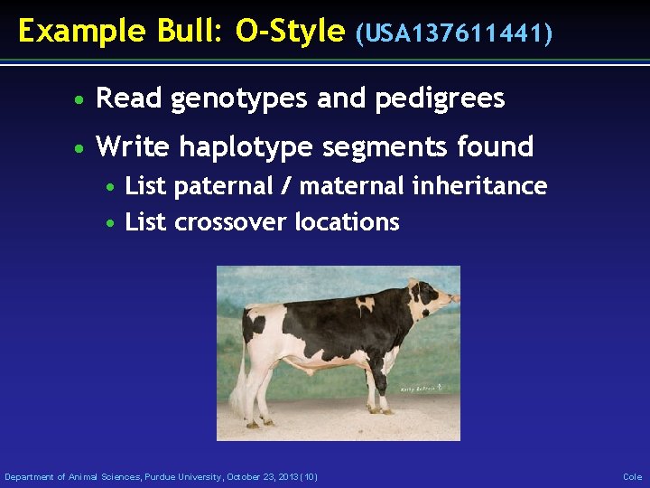 Example Bull: O-Style (USA 137611441) • Read genotypes and pedigrees • Write haplotype segments