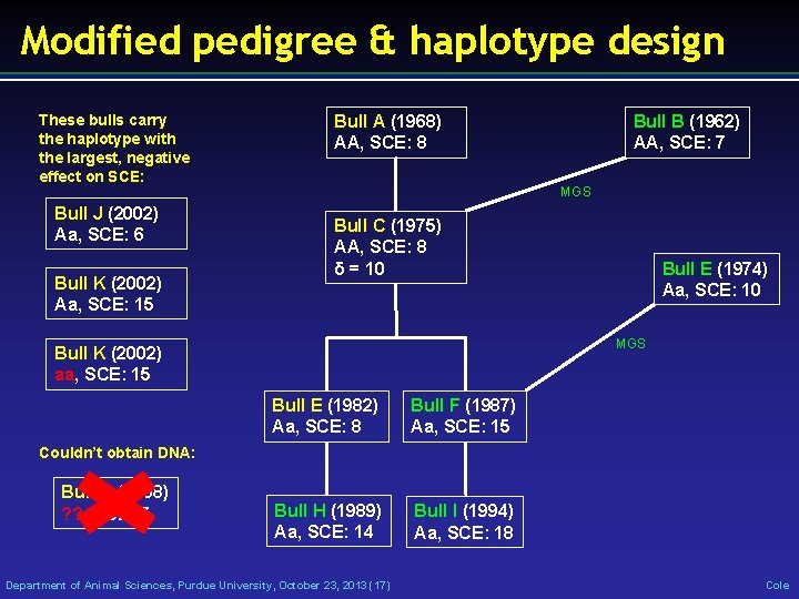 Modified pedigree & haplotype design These bulls carry the haplotype with the largest, negative