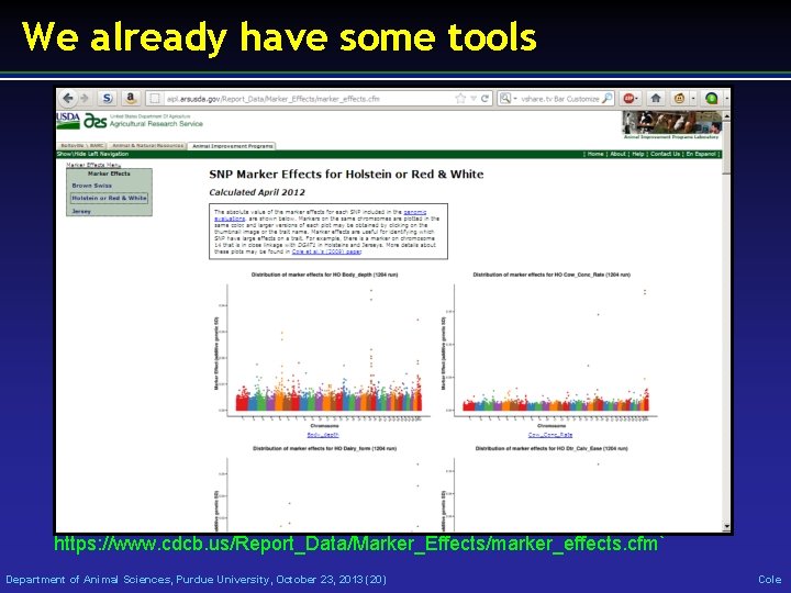 We already have some tools https: //www. cdcb. us/Report_Data/Marker_Effects/marker_effects. cfm` Department of Animal Sciences,