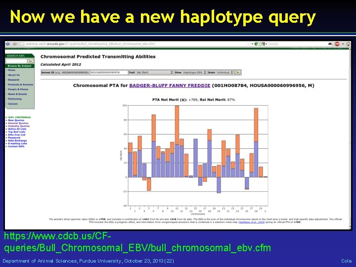 Now we have a new haplotype query https: //www. cdcb. us/CFqueries/Bull_Chromosomal_EBV/bull_chromosomal_ebv. cfm Department of