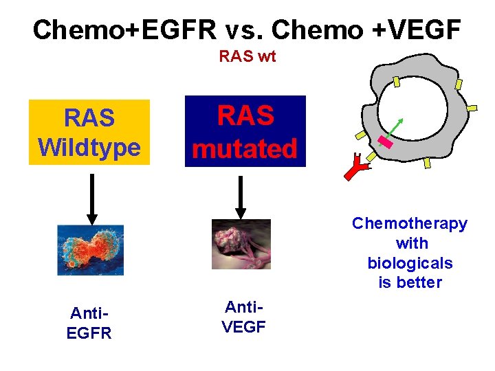 Chemo+EGFR vs. Chemo +VEGF RAS wt RAS Wildtype RAS mutated Chemotherapy with biologicals is