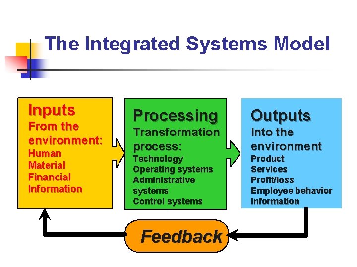 The Integrated Systems Model Inputs From the environment: Human Material Financial Information Processing Outputs