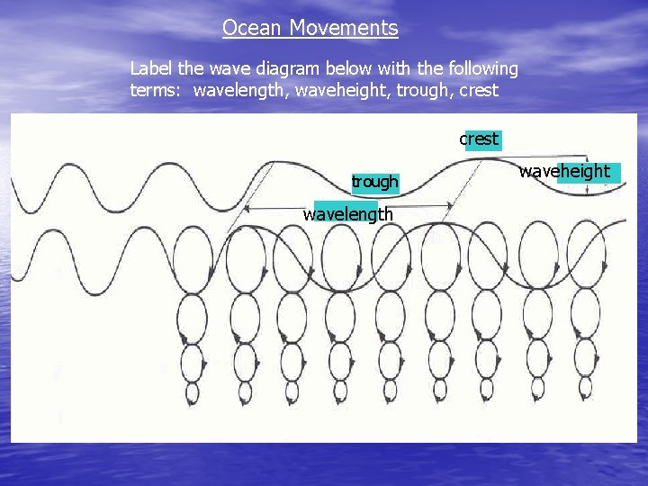 Ocean Movements Label the wave diagram below with the following terms: wavelength, waveheight, trough,