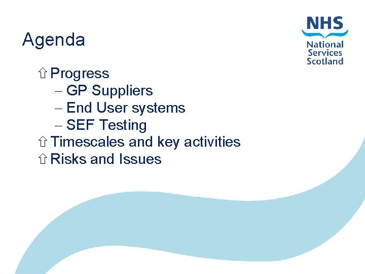 Agenda Progress GP Suppliers End User systems SEF Testing Timescales and key activities Risks